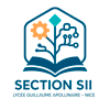 Section Ingénieur et Industrielle – Lycée Apollinaire – Nice Logo